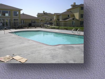 Chesapeake Bay, Tracy